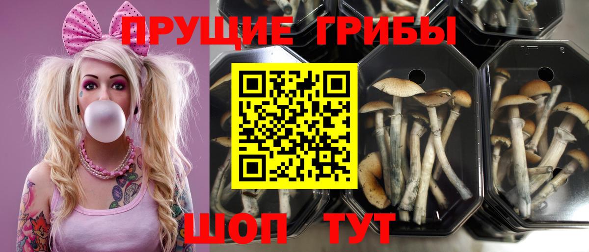 Галлюциногенные грибы ЛСД Обь