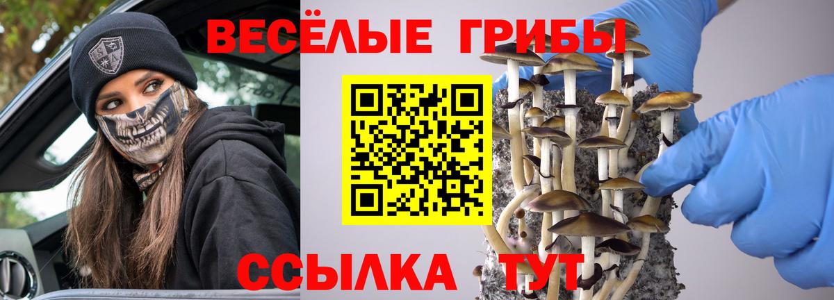 Обь  Галлюциногенные грибы прущие грибы  Вход с VPN 